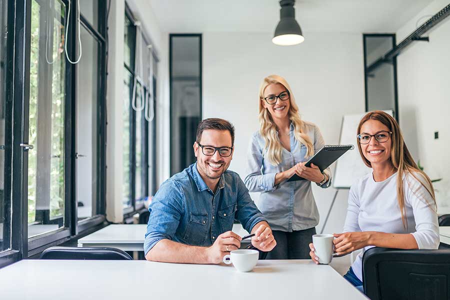 professional website designer